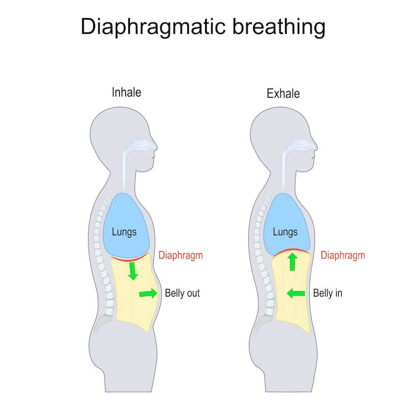 A diagram showing Diaphragmatic Breathing